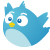 Thaifollow
