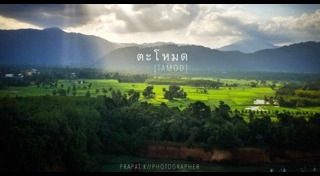 พัทลุง