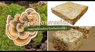 วัสดุก่อสร้าง