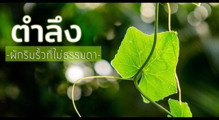 สมุนไพรพื้นบ้าน