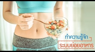 ระบบย่อยอาหาร