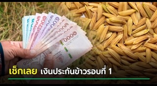 ราคาข้าว