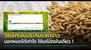 ราคาข้าว