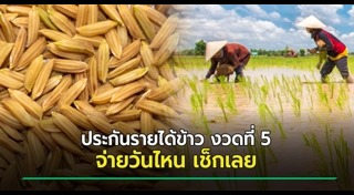 ราคาข้าว