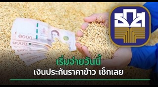 ราคาข้าว