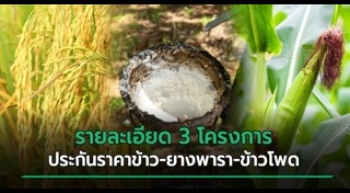 ราคาข้าว