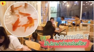 คาเฟ่สัตว์เลี้ยง