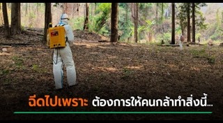 กองทัพบก