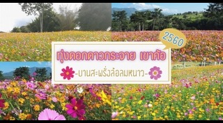 ที่เที่ยวเขาค้อ