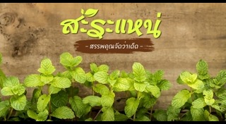 สมุนไพรแก้ปวดฟัน