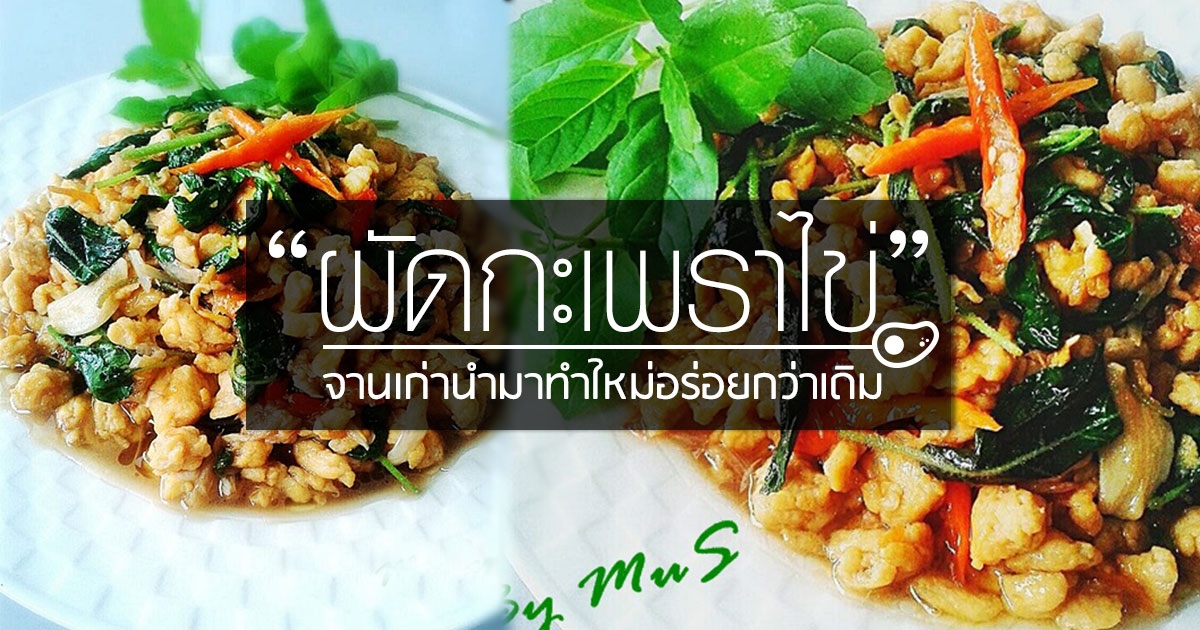 ผัดกะเพราไข่ อาหารจานเก่านำมาทำใหม่อร่อยกว่าเดิม อาหารจานเดียว