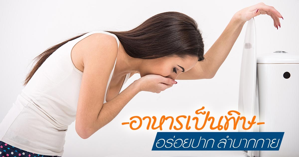 à¸à¸¥à¸à¸²à¸£à¸à¹à¸à¸«à¸²à¸£à¸¹à¸à¸ à¸²à¸à¸ªà¸³à¸«à¸£à¸±à¸ à¸­à¸²à¸«à¸²à¸£à¹à¸à¹à¸à¸à¸´à¸©