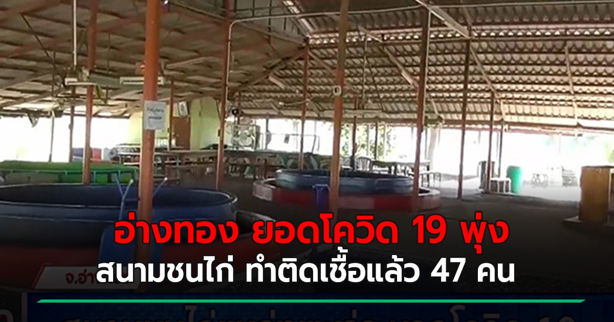 Aback!  Ang Thong chickenfighting field spreads COVID 19, infected 47 people, spread in 5 provinces