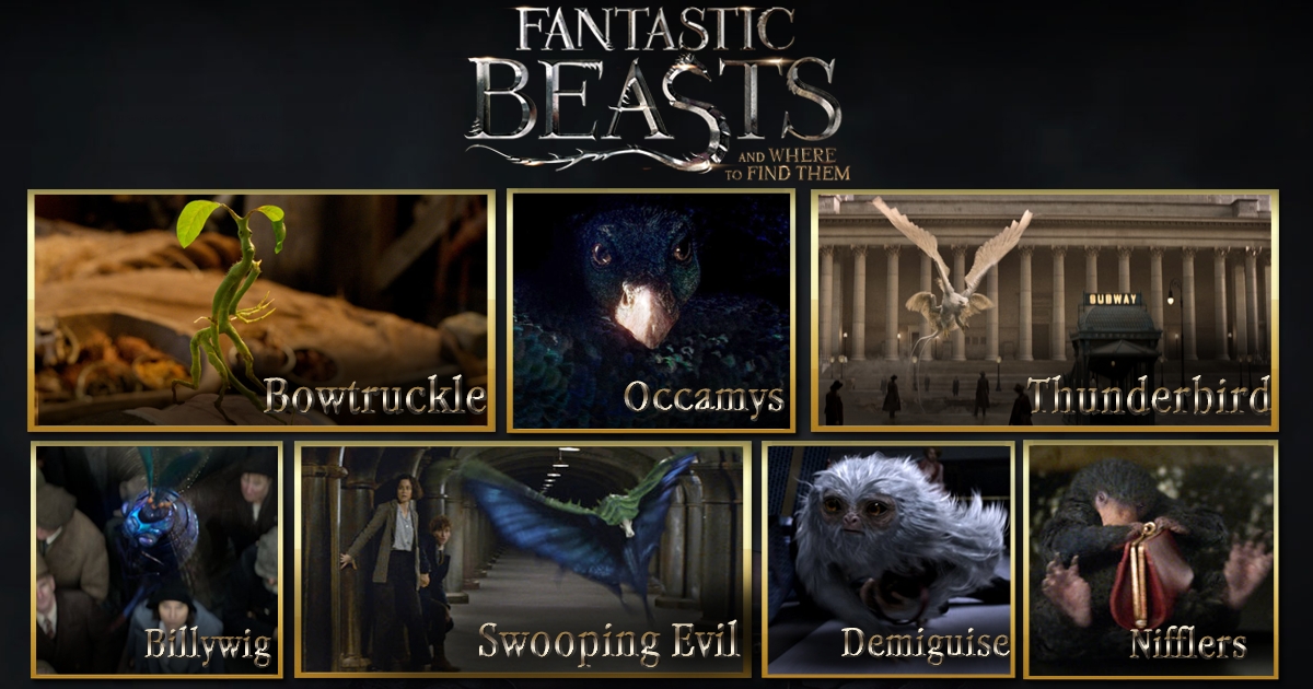 พร้อมป่วน ! 7 สัตว์วิเศษจาก Fantastic Beasts โลกพ่อมดมีสะเทือน