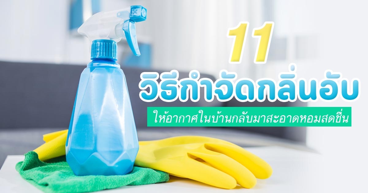 11 วิธีกำจัดกลิ่นอับบอกลากลิ่นเหม็น ให้อากาศในบ้านกลับมาสะอาด