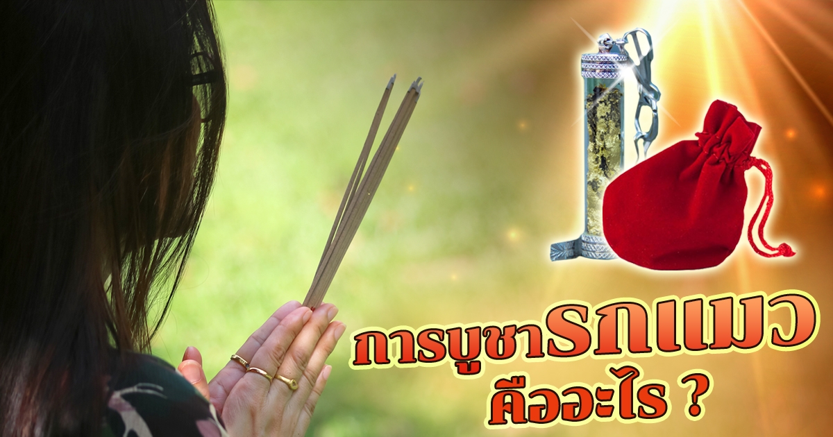 .วิธีบูชารกแมว ของขลังช่วยบันดาลโชคลาภ จากความเชื่อของคนโบราณ.