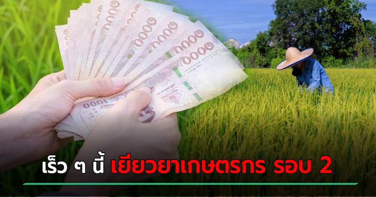 à¹€à¸¢ à¸¢à¸§à¸¢à¸²à¹€à¸à¸©à¸•à¸£à¸à¸£ à¸£à¸­à¸š 2 à¹€à¸Š à¸à¸ªà¸–à¸²à¸™à¸°à¸¢ à¸‡à¹„à¸‡ à¹ƒà¸„à¸£à¸£à¸­à¸¥ à¸™à¸£ à¸šà¸ª à¸—à¸˜ à¸