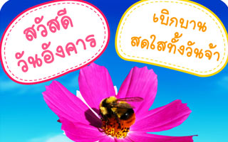 ดวงวันนี้