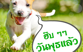 ดวงวันนี้