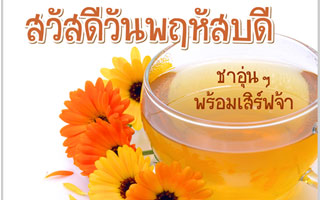 ดวงวันนี้