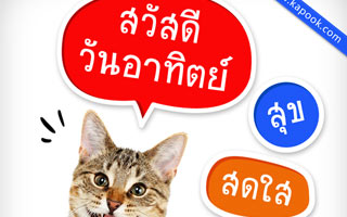 ดวงวันนี้