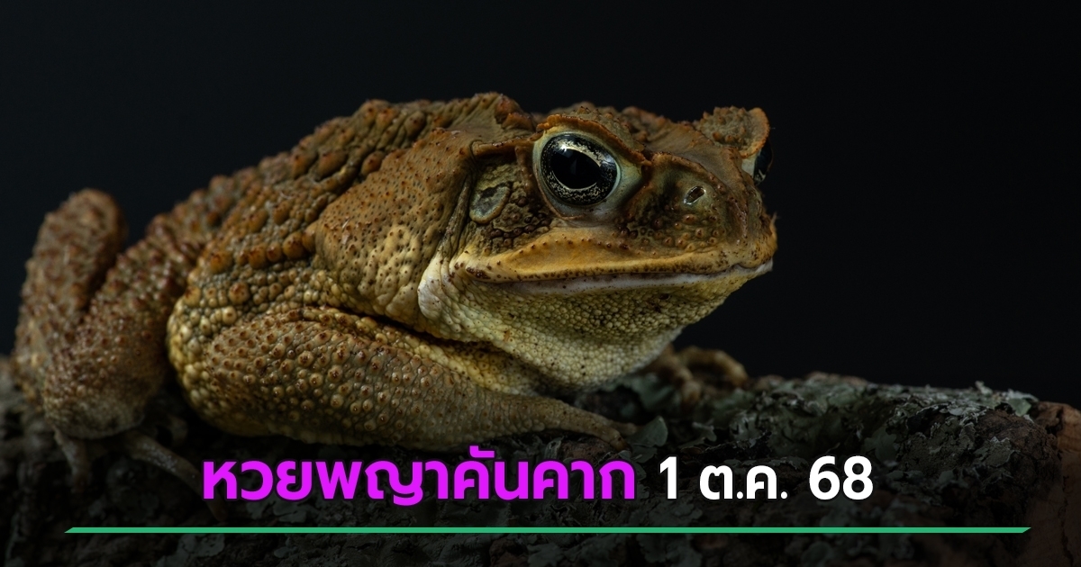โค้งสุดท้าย หวยพญาคันคากเผยเลขเด็ดงวดนี้ 1 ต.ค. 68 แบบเน้น ๆ