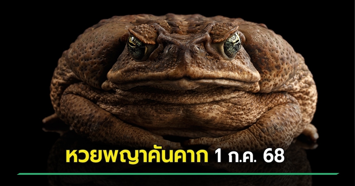 หวยพญาคันคากให้โชค ปล่อยเลขเด็ดงวดนี้โค้งสุดท้าย 1 ก.ค. 68