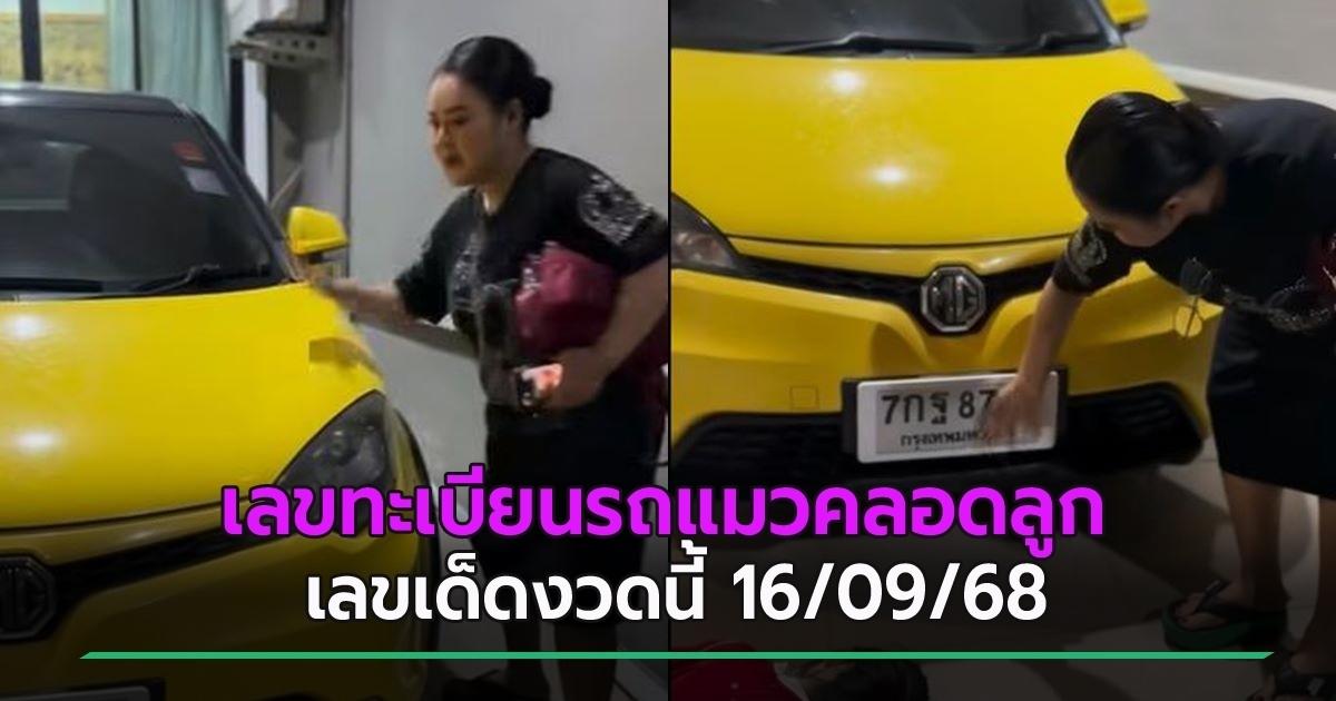 ฮาย อาภาพร เปิดเลขทะเบียนรถแมวคลอดลูก ลุ้นเป็นเลขเด็ดงวดนี้ 16/09/68