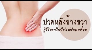 วิธีแก้ปวดหลัง