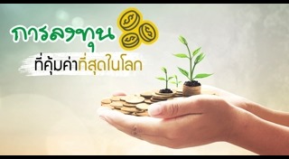 ลงทุนอะไรดี