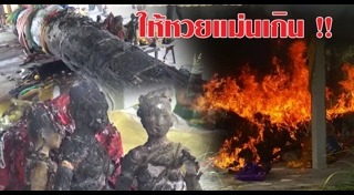 ต้นตะเคียน