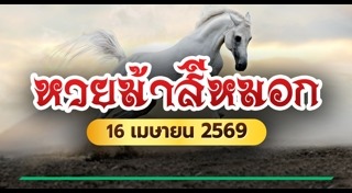 ม้าสีหมอก