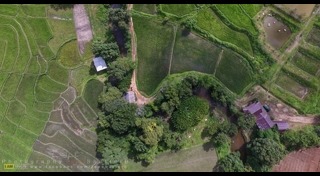 ป่าบงเปียง