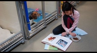 เด็กกับหมา