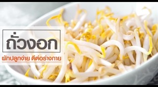 ถั่วงอก