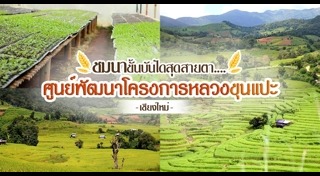 ประเพณียี่เป็ง เชียงใหม่