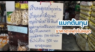 ข่าวเศรษฐกิจ