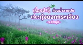 ทุ่งดอกกระเจียว ชัยภูมิ