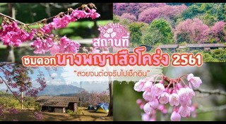 พญาเสือโคร่ง