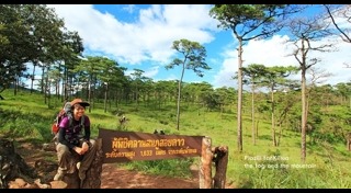 เส้นทางเดินป่า