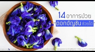 สมุนไพรบำรุงสายตา