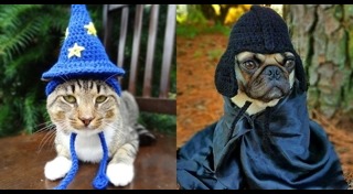 หมวกไหมพรม