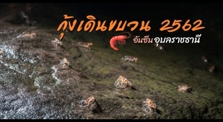 เที่ยวอุบลราชธานี