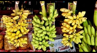 เที่ยวกำแพงเพชร