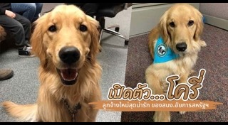 เด็กกับหมา