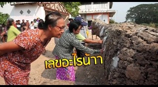 ต้นตะเคียน