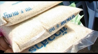 สวนยางพารา