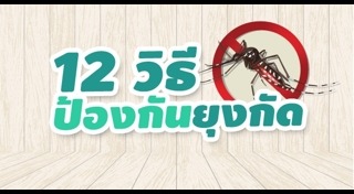 วิธีป้องกันยุงกัด