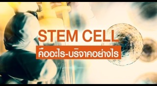 สเต็มเซลล์