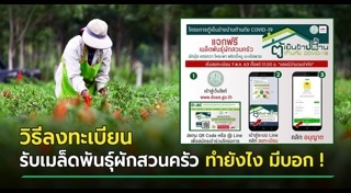 เมล็ดพันธุ์พืช